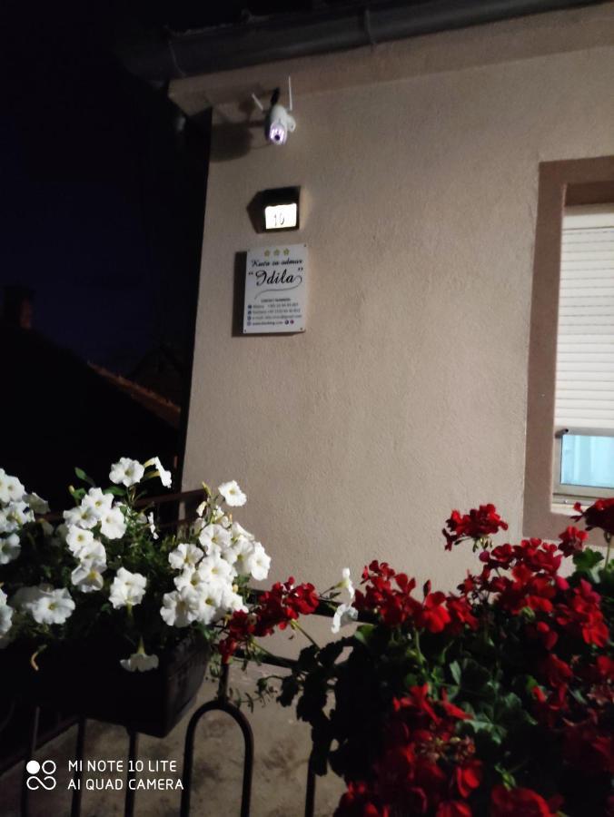 Kuca Vila Idila Versec Kültér fotó